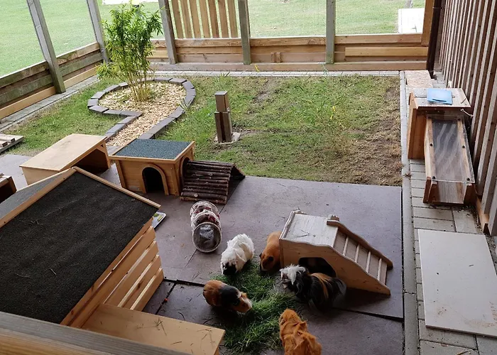 Fehmarnhaus 1 Fehmarn